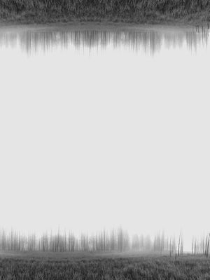MINIMALIST NATURE 1