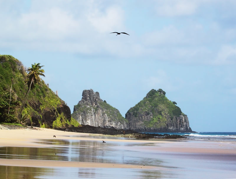 NORONHA DOIS IRMÃOS