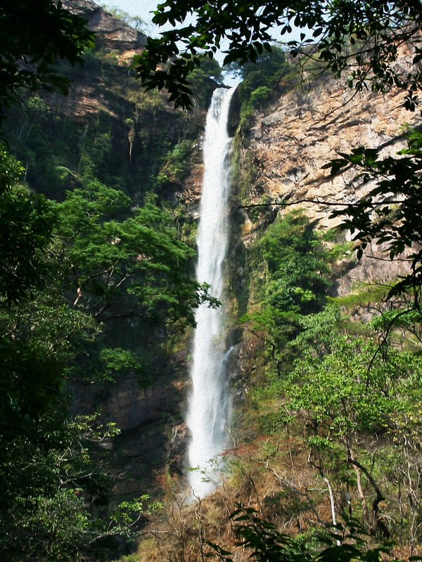 CACHOEIRA ARTÍSTICA
