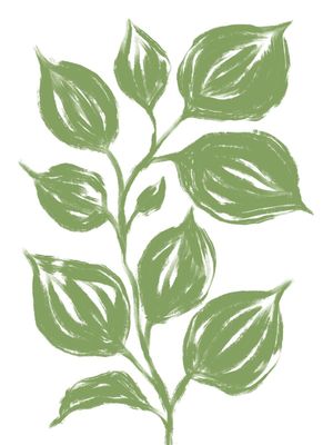 FOLHAS GRANDES DE PLANTAS VERDES