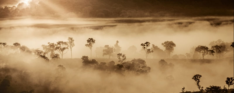 AMANHECER CERRADO