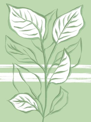 PLANTA VERDE CALMA
