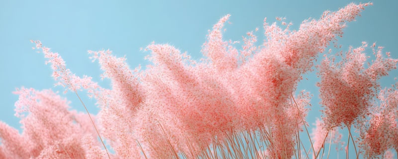 PINTURA L7361 - BY AI