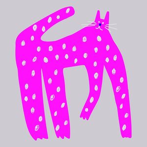 COOL CAT 15