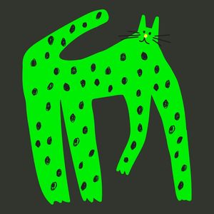 COOL CAT 16