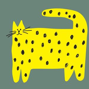 COOL CAT 18