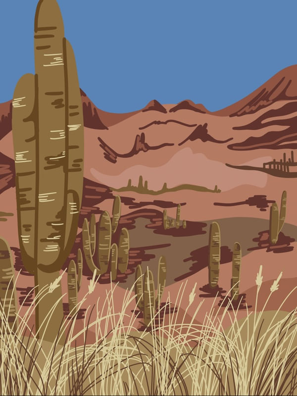 CACTUS DESERT LANDSCAPE