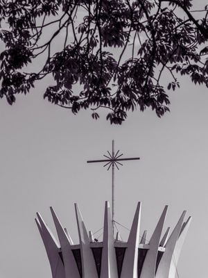 CATEDRAL DE BRASÍLIA COM GALHOS DE ÁRVORE