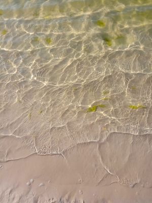 NATURE ART 24