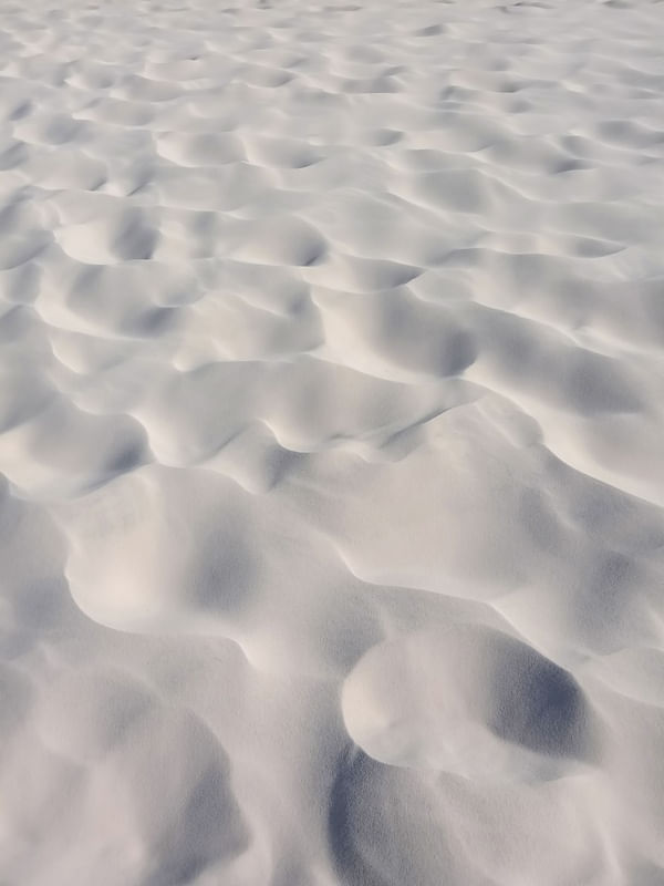 NATURE ART 26