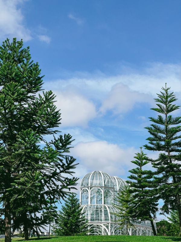 O JARDIM BOTANICO