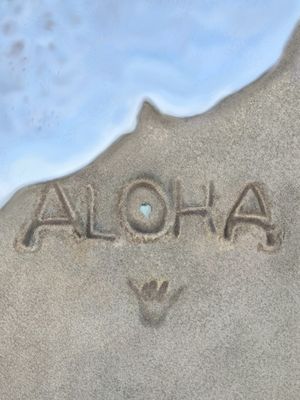ALOHA WAVES