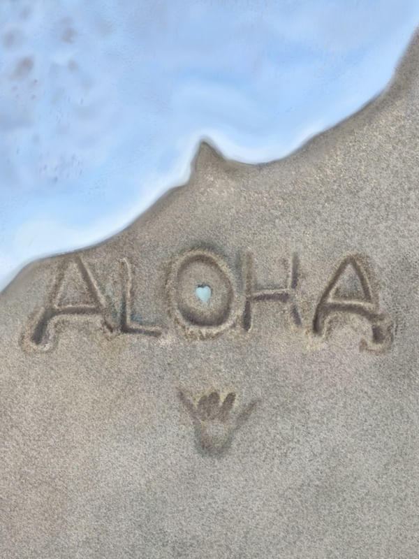 ALOHA WAVES