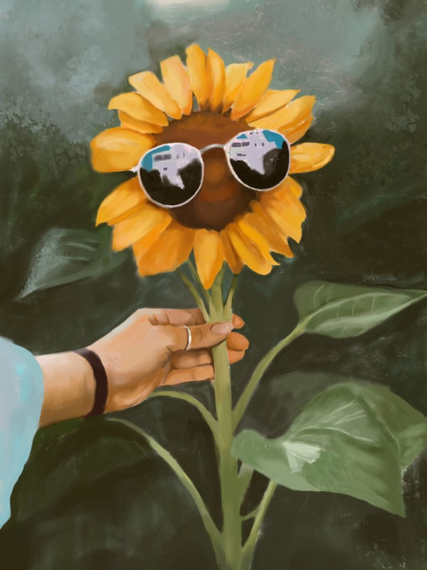 AVIATORS