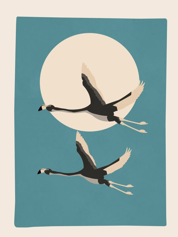 SOARING HARMONY 1