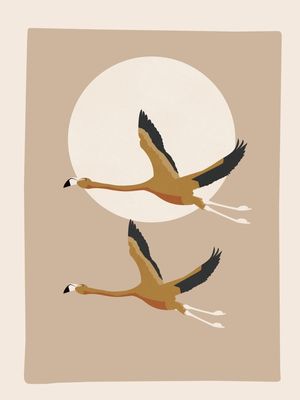 SOARING HARMONY 2