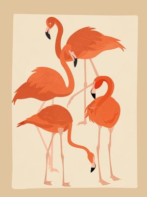 GRACEFUL FLAMINGOS 1