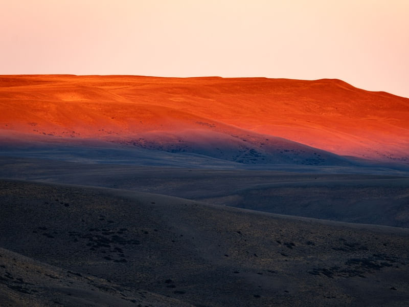 ARGENTINA DOURADA