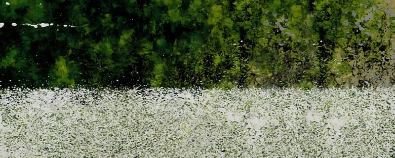 ABSTRACT - CAMPO DE FLORES 1J4