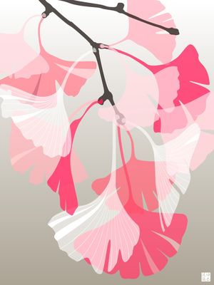 GINKGO MINIMALISTA ROSA CORAL
