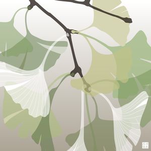 GINKGO MINIMALISTA VERDE FENDI A