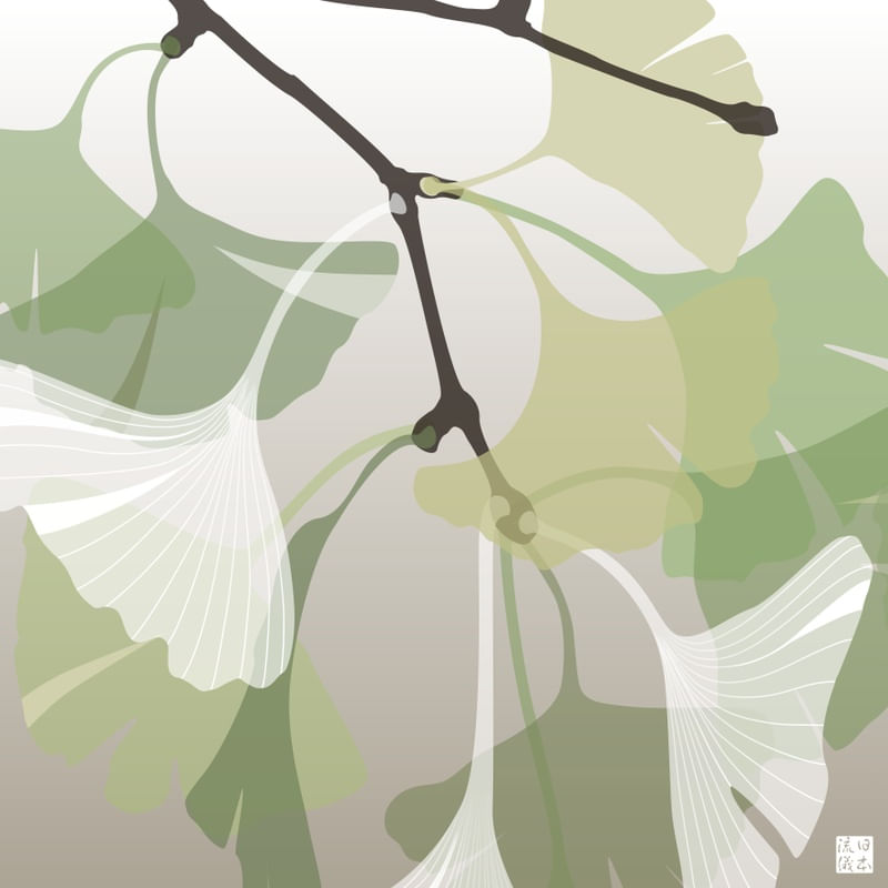 GINKGO MINIMALISTA VERDE FENDI A