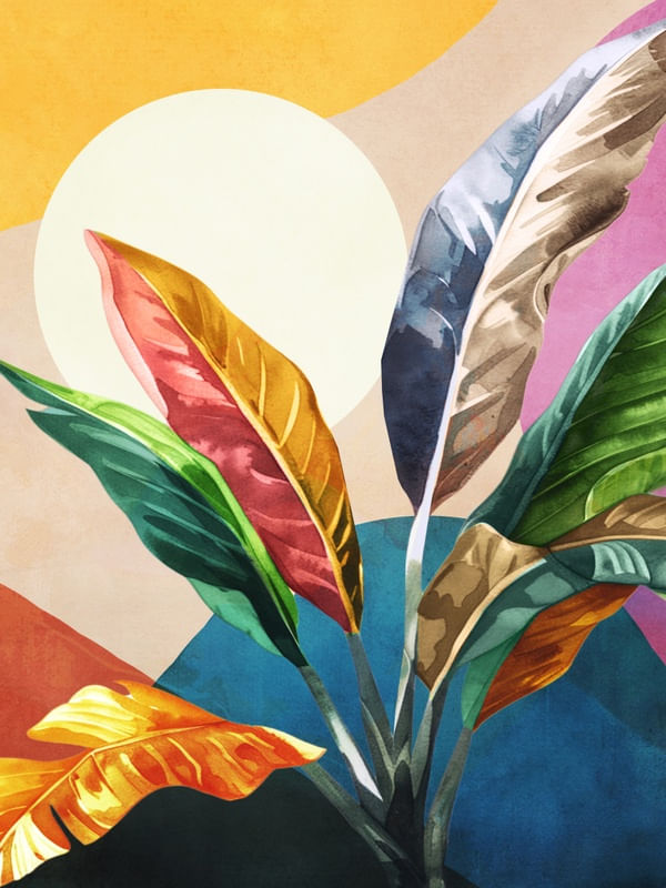 COLORFUL BRANCHING OUT 50