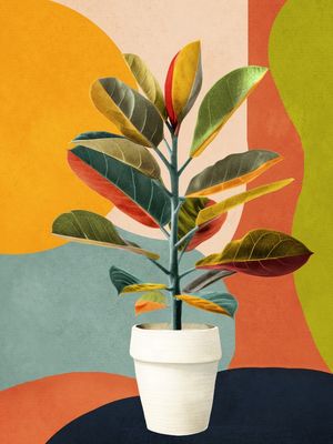COLORFUL BRANCHING OUT 33
