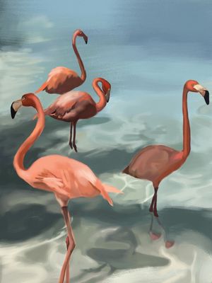PINK FLOCK
