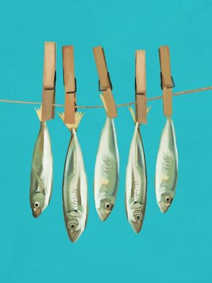 SARDINES 1