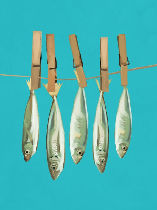 SARDINES 1