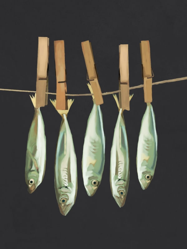 SARDINES 2