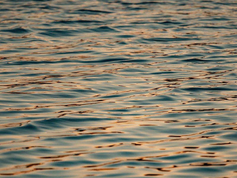 GOLDEN SEA 1