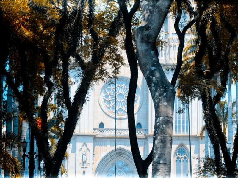 OUTONO NA PRAÇA DA SÉ
