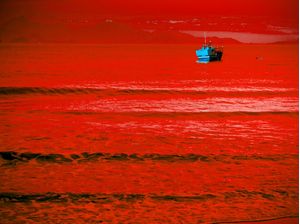 ANOITECEU VERMELHO