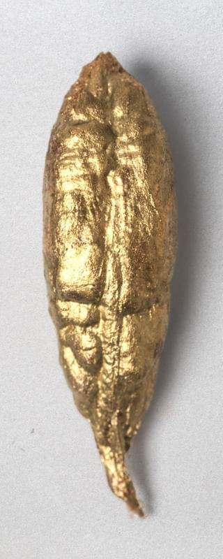 SAVE THE DATE SEED GOLD