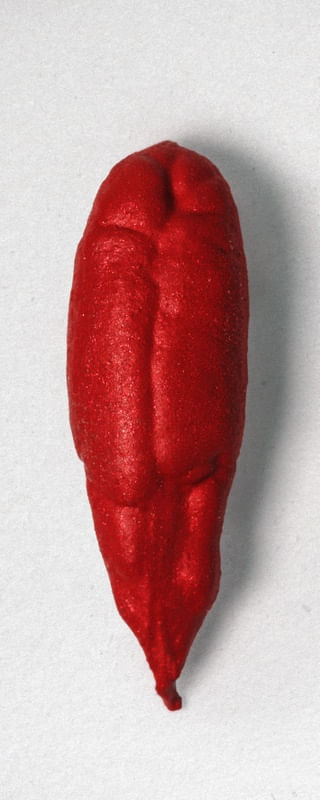 SAVE THE DATE SEED PEPPER