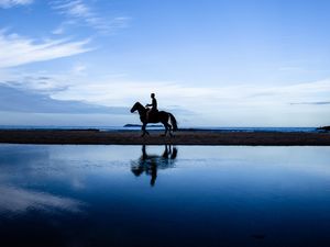 A BELEZA DO CAVALO E O MAR