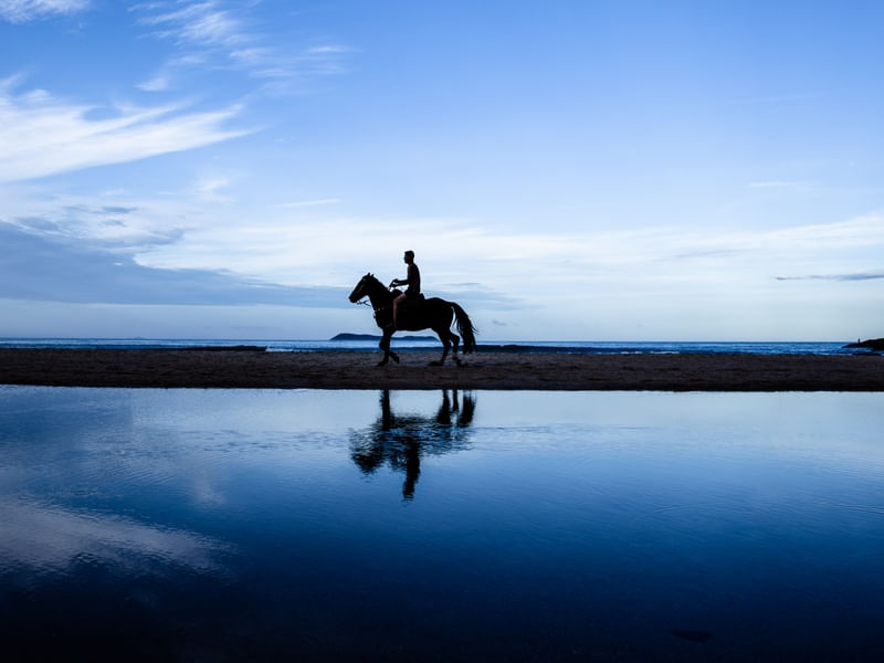 A BELEZA DO CAVALO E O MAR