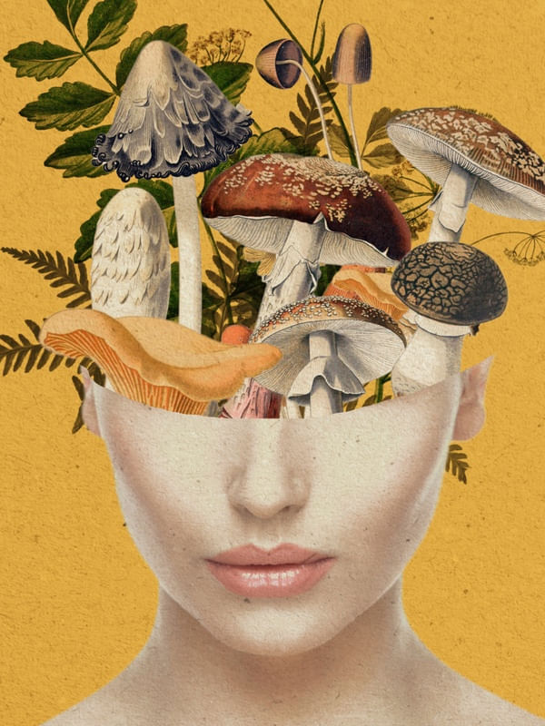 MUSHROOM LADY 8