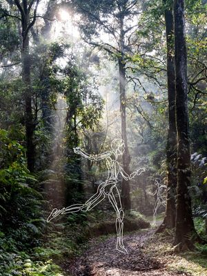 LINHAS NA NATUREZA - DS 001