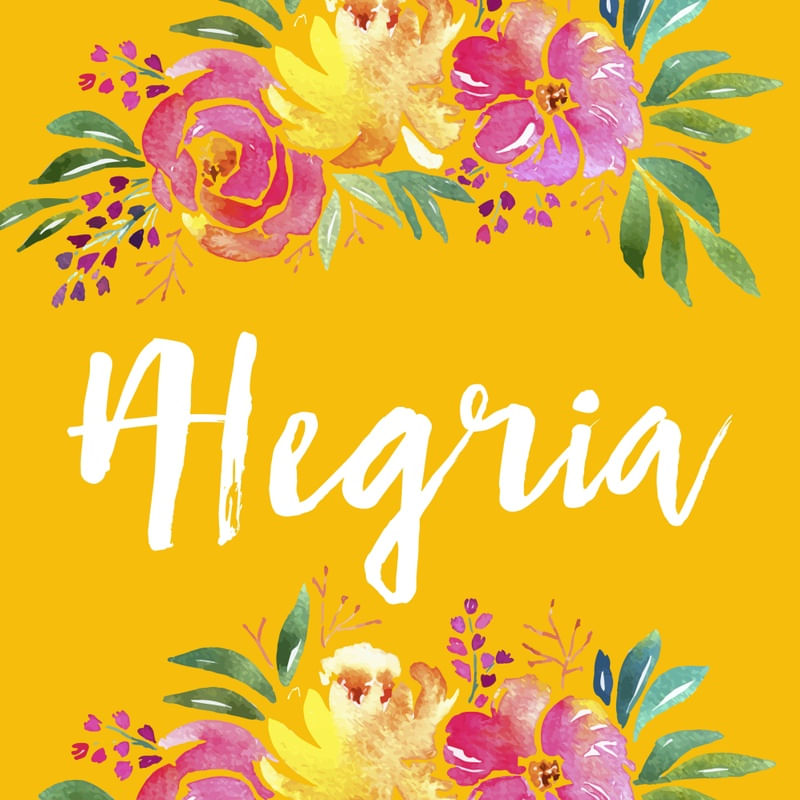 ALEGRIA E FLORES