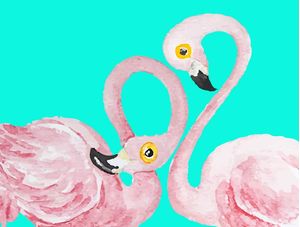CASAL DE FLAMINGOS