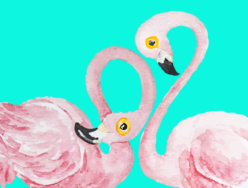 CASAL DE FLAMINGOS