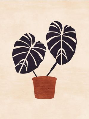 PLANTAS BOHO AQUARELA 2
