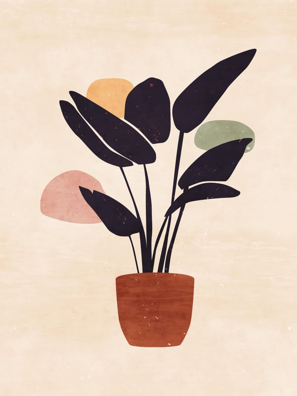 PLANTAS BOHO AQUARELA