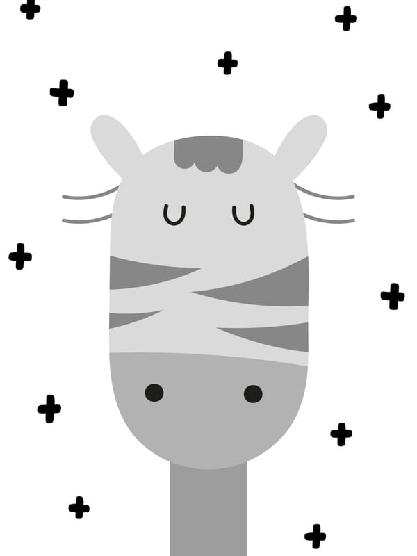 ZEBRA ESCANDINAVA KIDS