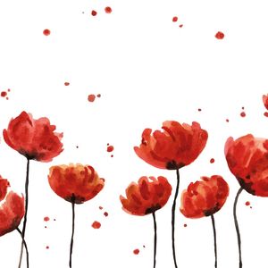 CUT RED FLOWERS