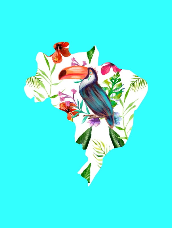 BRASIL TROPICAL 2