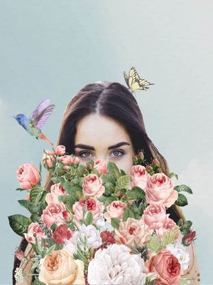 BEIJA-FLOR E BORBOLETA